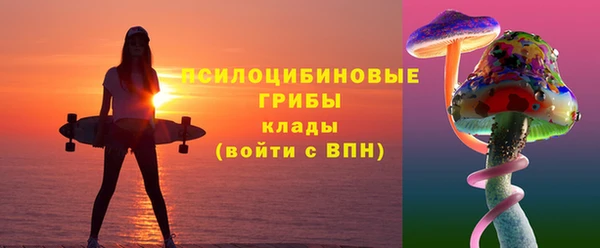 соль ск Алексеевка