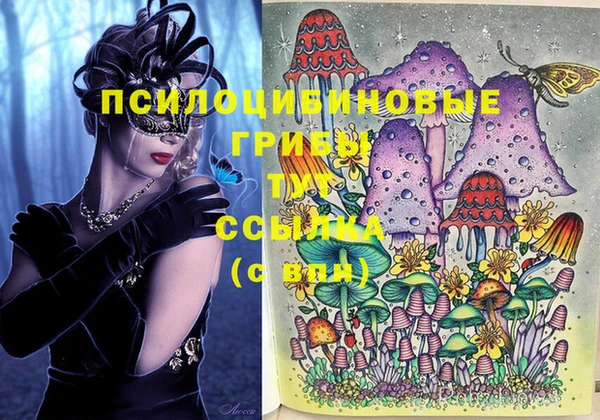 jwh Алзамай