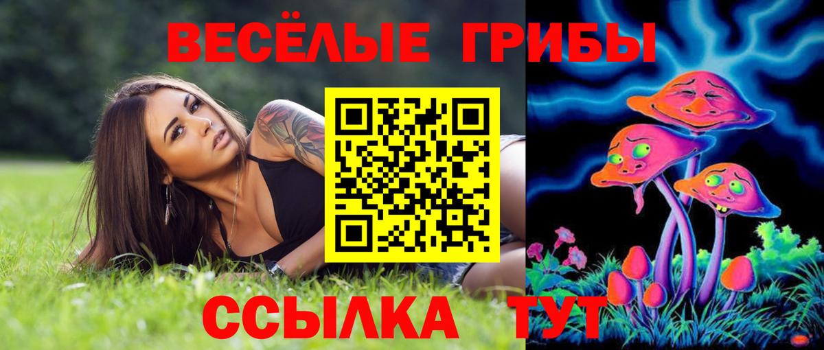 Галлюциногенные грибы мухоморы  Псилоцибиновые грибы Magic Shrooms  Георгиевск  Вход с VPN 